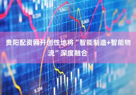 贵阳配资网开创性地将“智能制造+智能物流”深度融合
