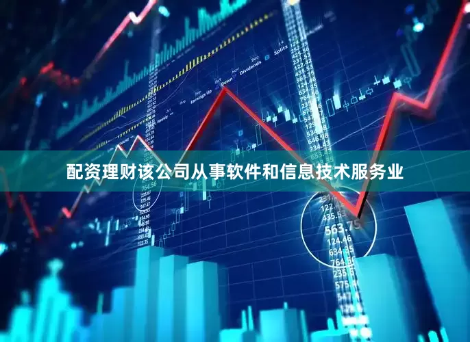配资理财该公司从事软件和信息技术服务业