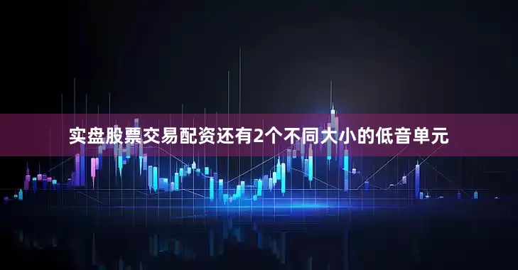 实盘股票交易配资还有2个不同大小的低音单元